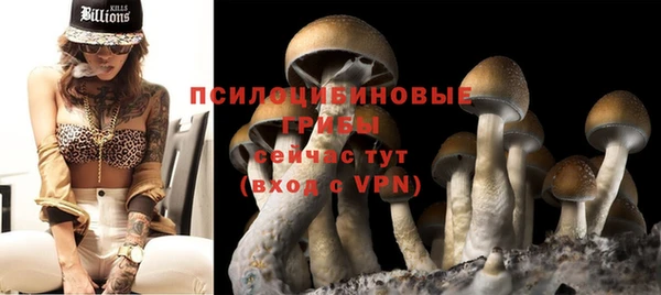 а пвп мука Александровское